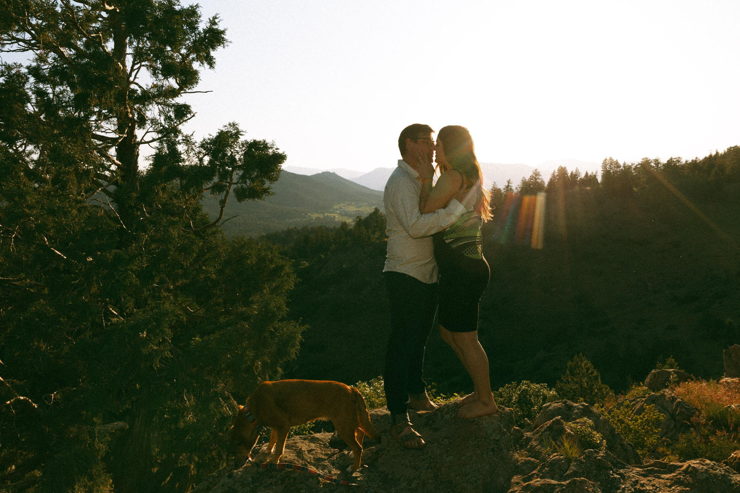 The Wedding Website of Lauren DeMattia and Brian Stahlhammer