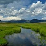 Valles Caldera National Preserve