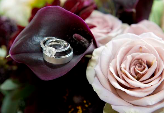 The Wedding Website of Aprille Wesson and Fred Blood