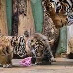Prague Zoo