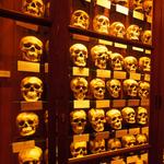 The Mutter Museum at The College of Physicians of Philadelphia