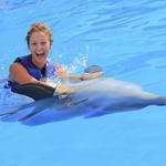 Dolphin Signature Swim