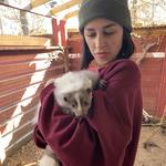 Hochatown Rescue Center & Petting Zoo