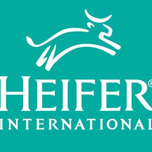 [Heifer International] Give the gift of a pig