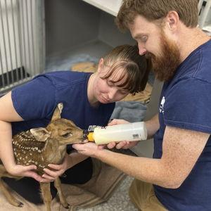 Donate to Northern Colorado Wildlife Center