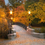 Washington Park