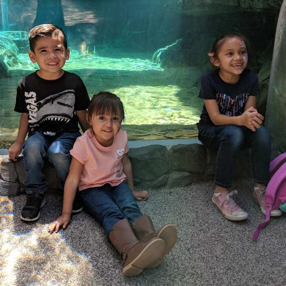 Adrian the ring bearer and Sophia and Autumn the flower girls.