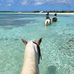 Horse back riding on beach