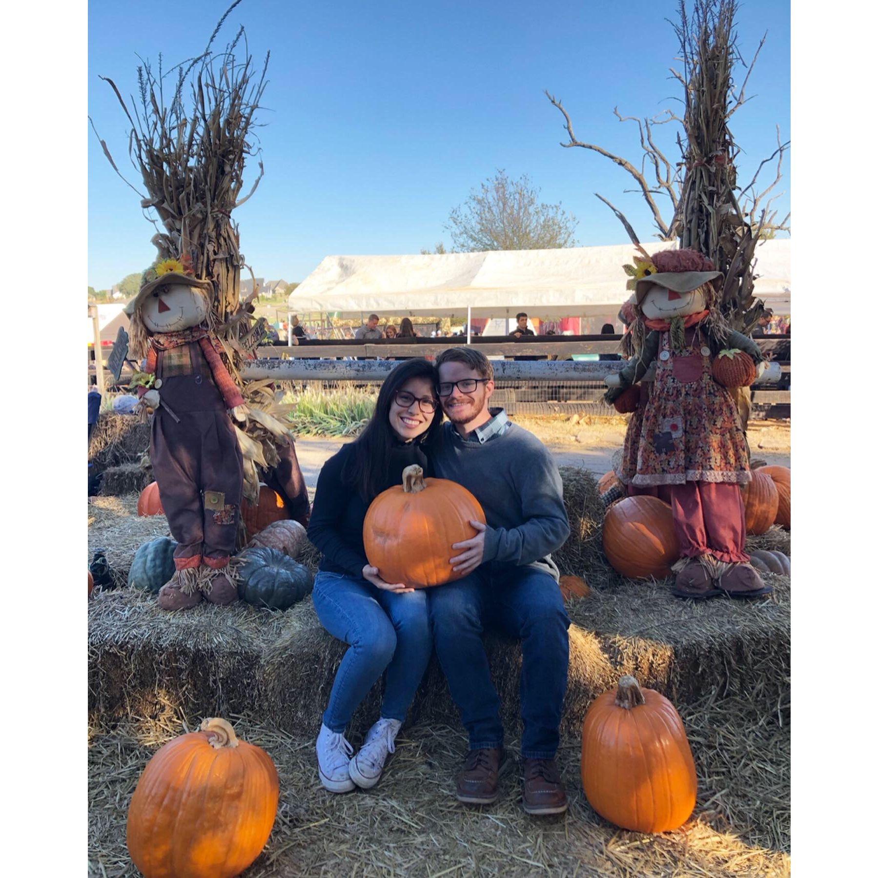 Pumpkin patch! (2019)