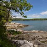 Dodge Point Preserve