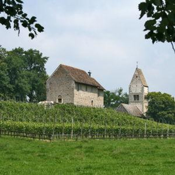 Winery Tour- Switzerland