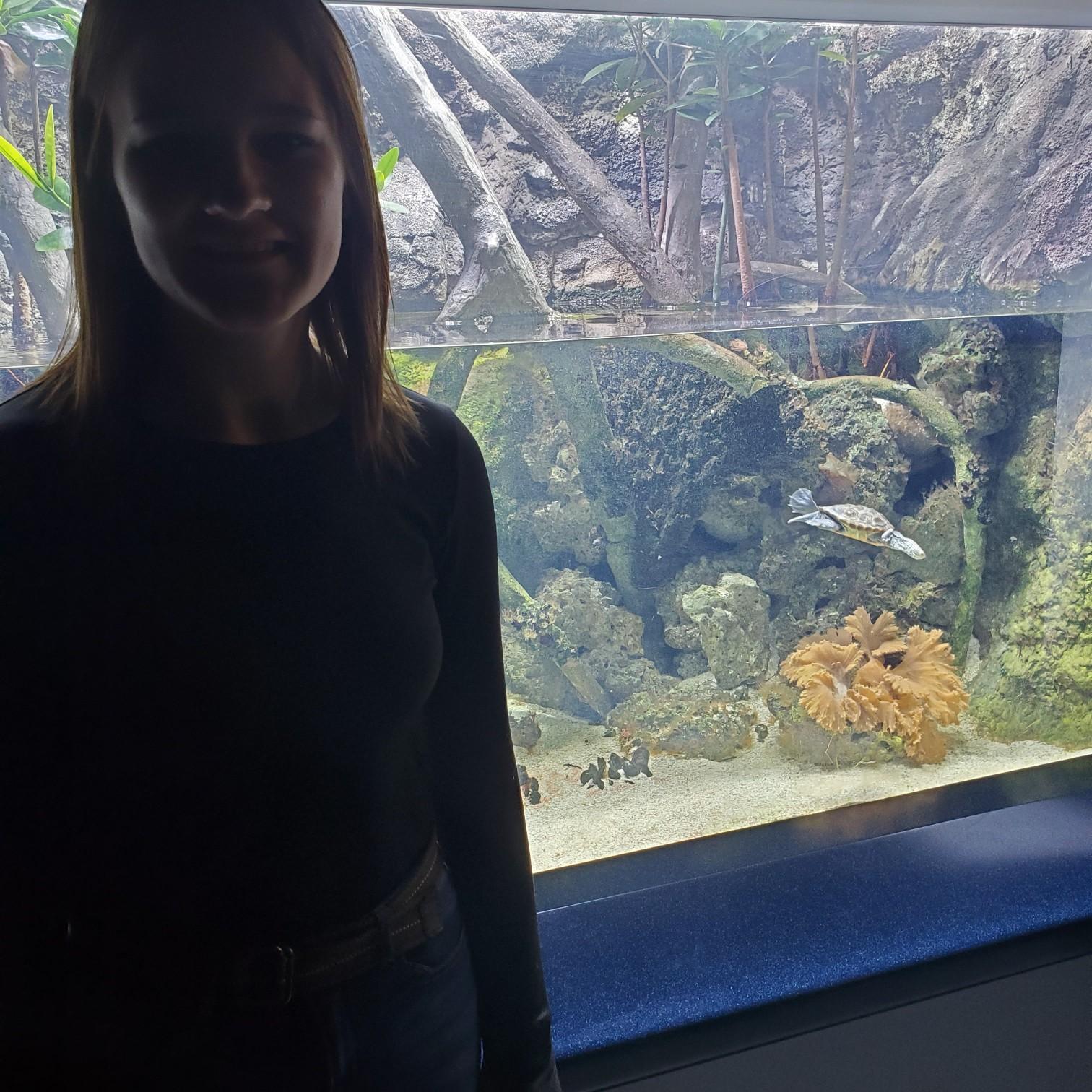 I knew I should of stood next to the penguins. November 2019