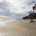 Edisto Beach