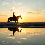 Horseback Riding
