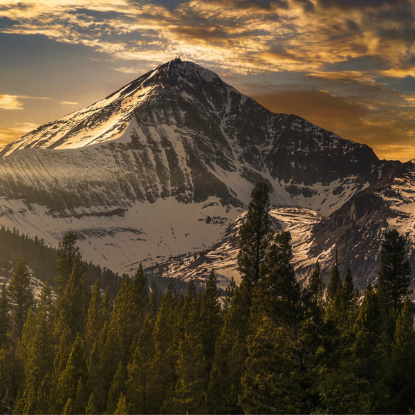 Big Sky Honeymoon