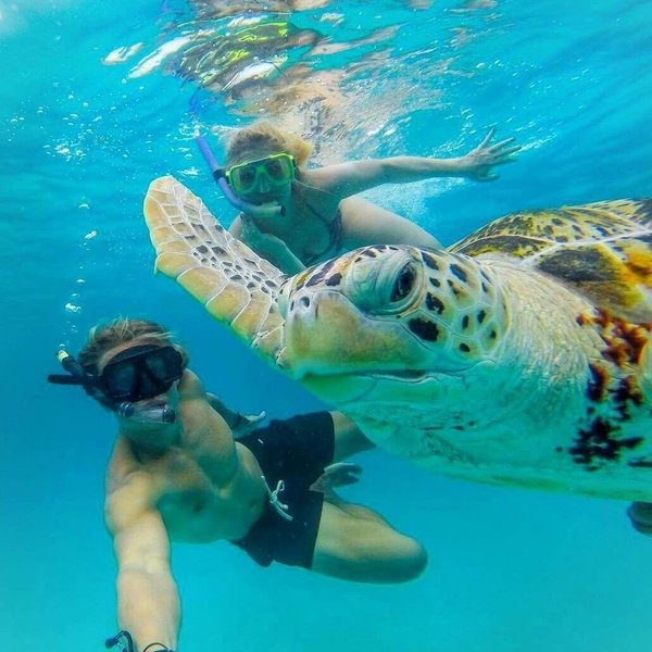 Snorkeling For Two (Venmo)