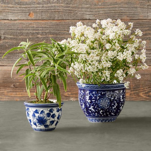 Blue & White Mini Planter Set