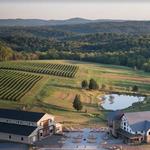 Loudon County Wineries