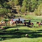 Porter Mountain Stables