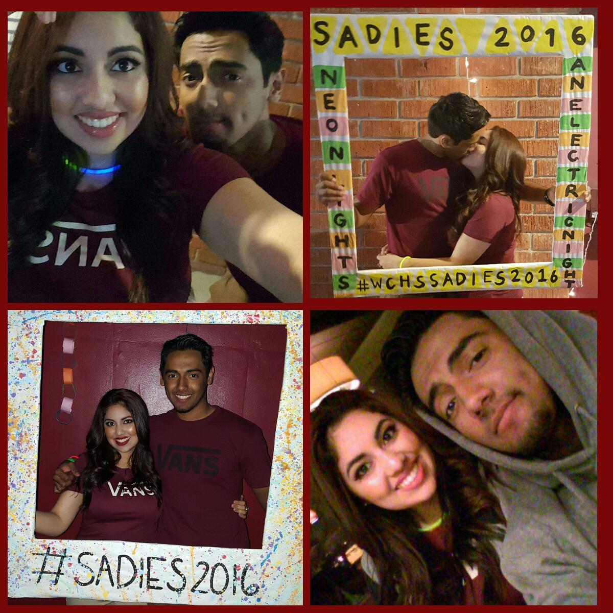Sadies 2016
