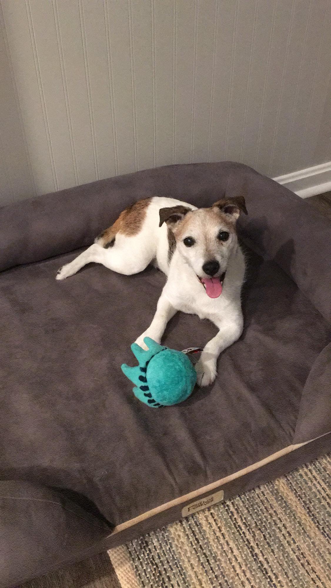 Idgie loves her new ball!