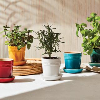 Herb Planter