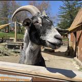 Lehigh Valley Zoo