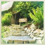 Salt Spring Island Ales