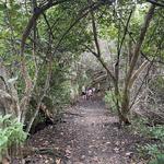 Hugh Taylor Birch State Park