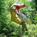 Museum of Life and Science