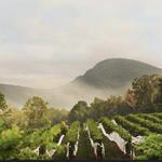 Yonah Mountain