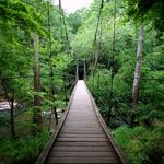 Eno River State Park Trails