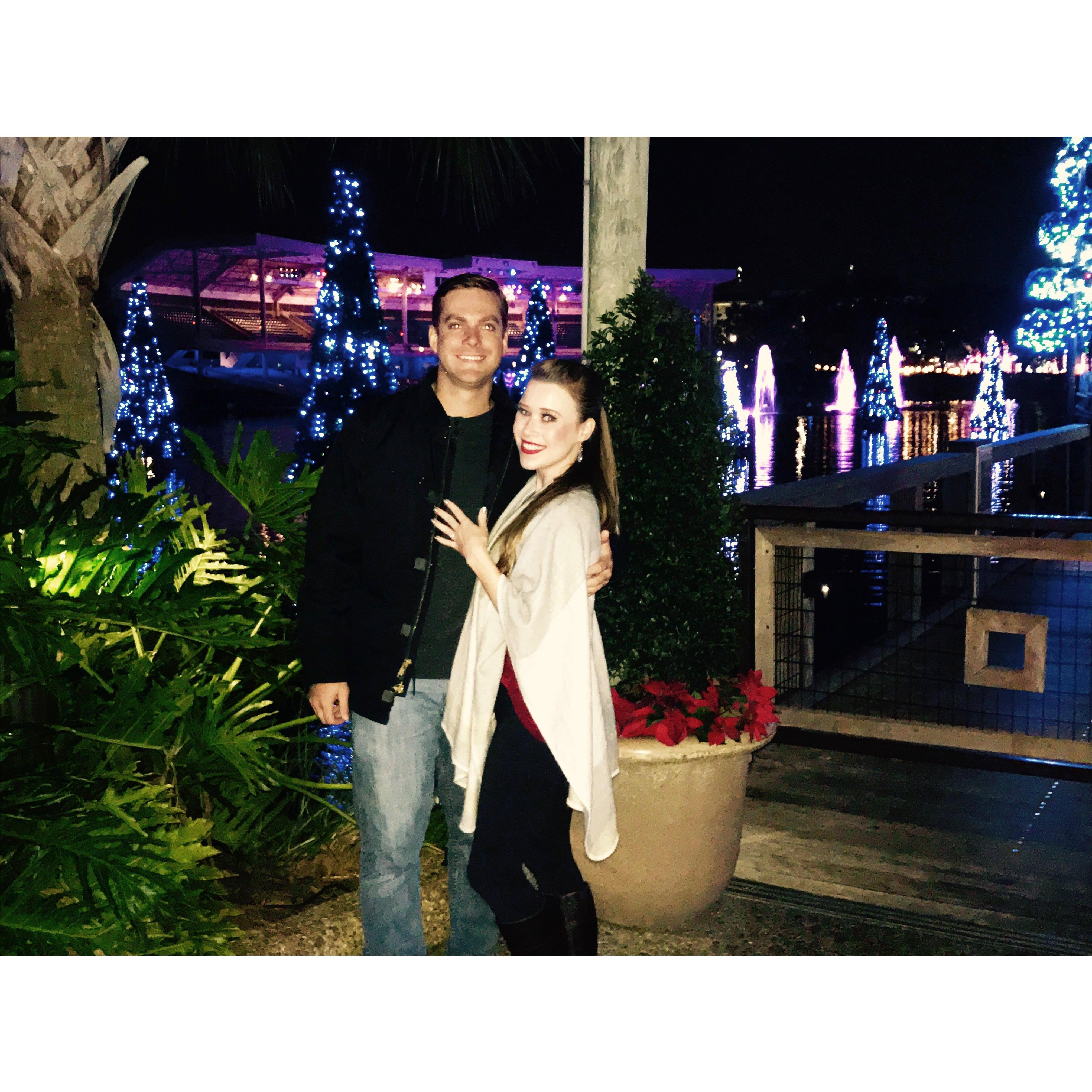 New Years Eve at Sea World, the night after the engagement!