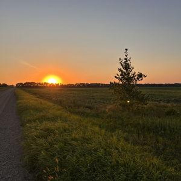 Help us build our homestead