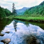 Fly Fishing