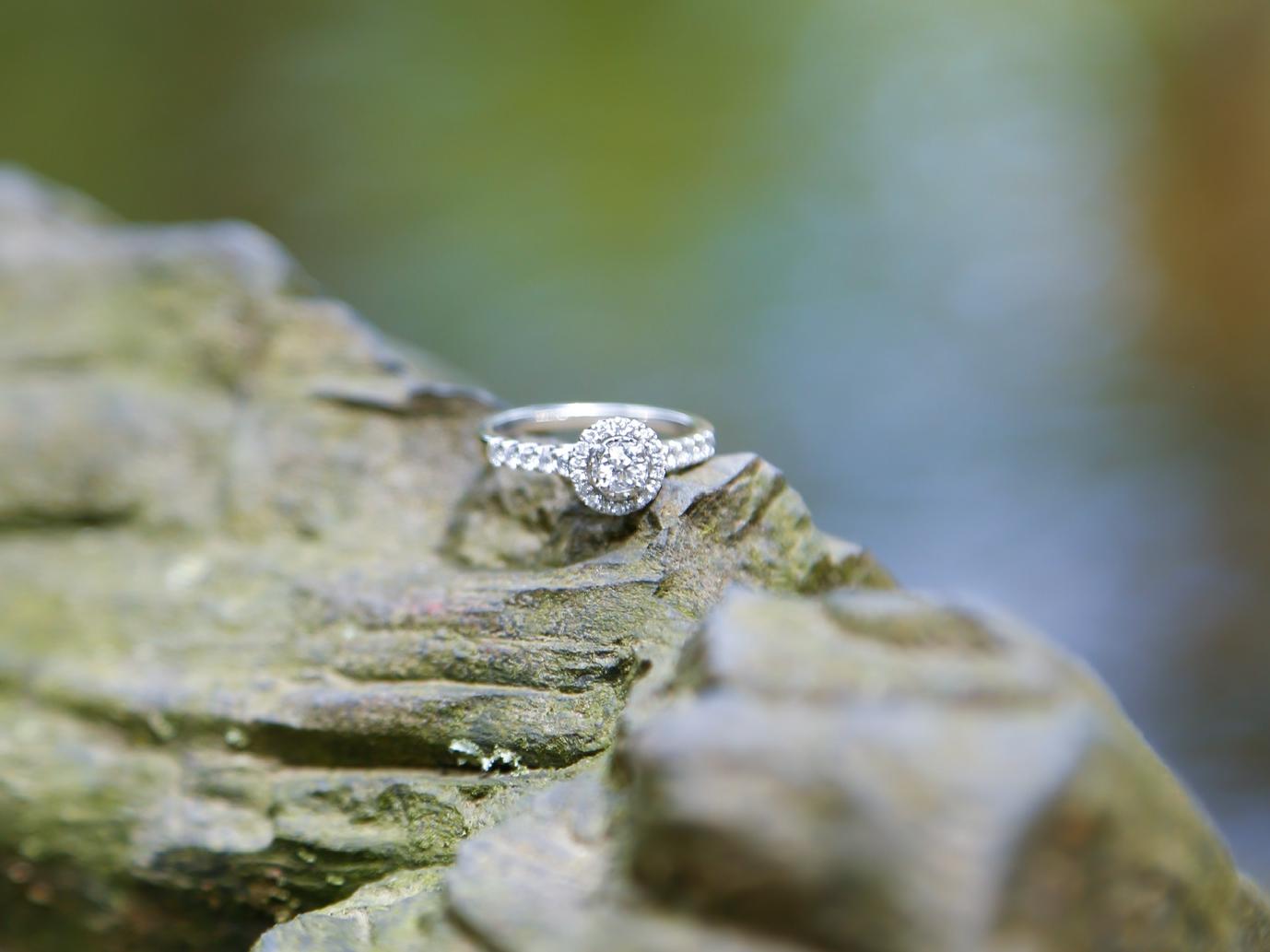 The Wedding Website of Monica DeMicco and Matthew Forester