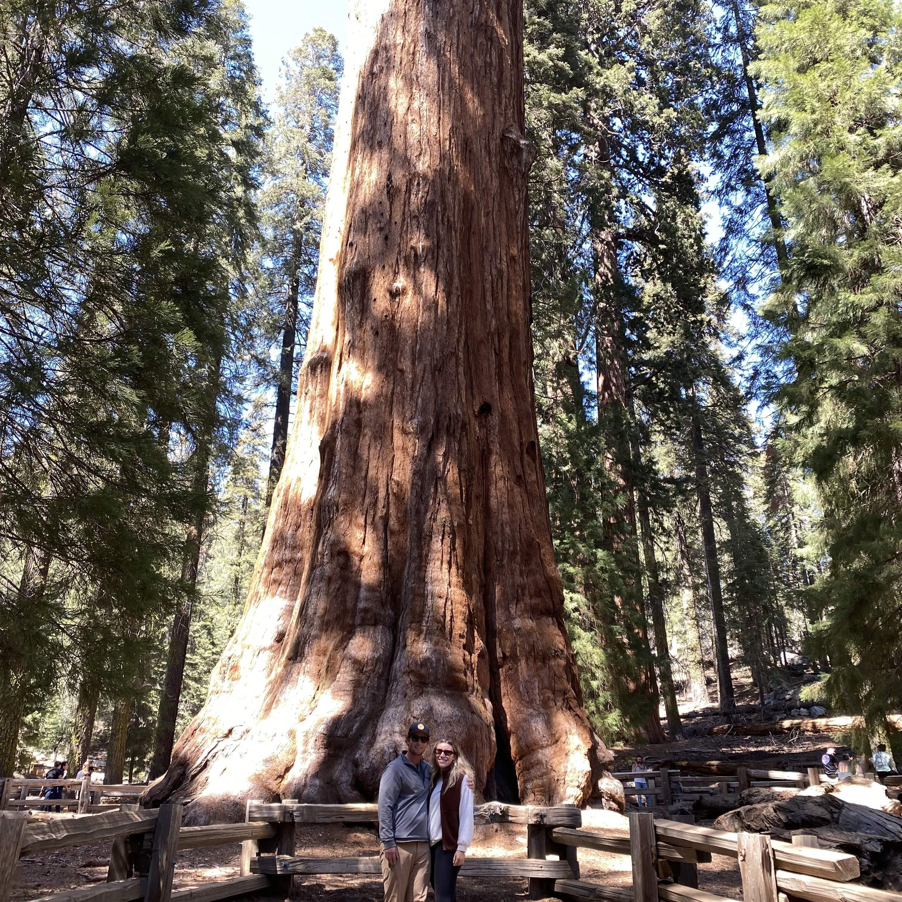 Checking out General Sherman at Sequoia National Park