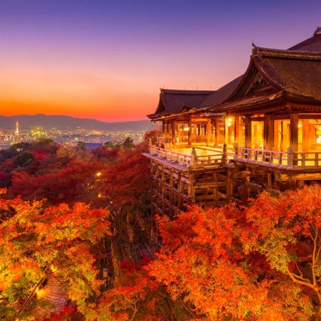 Honeymoon in Japan