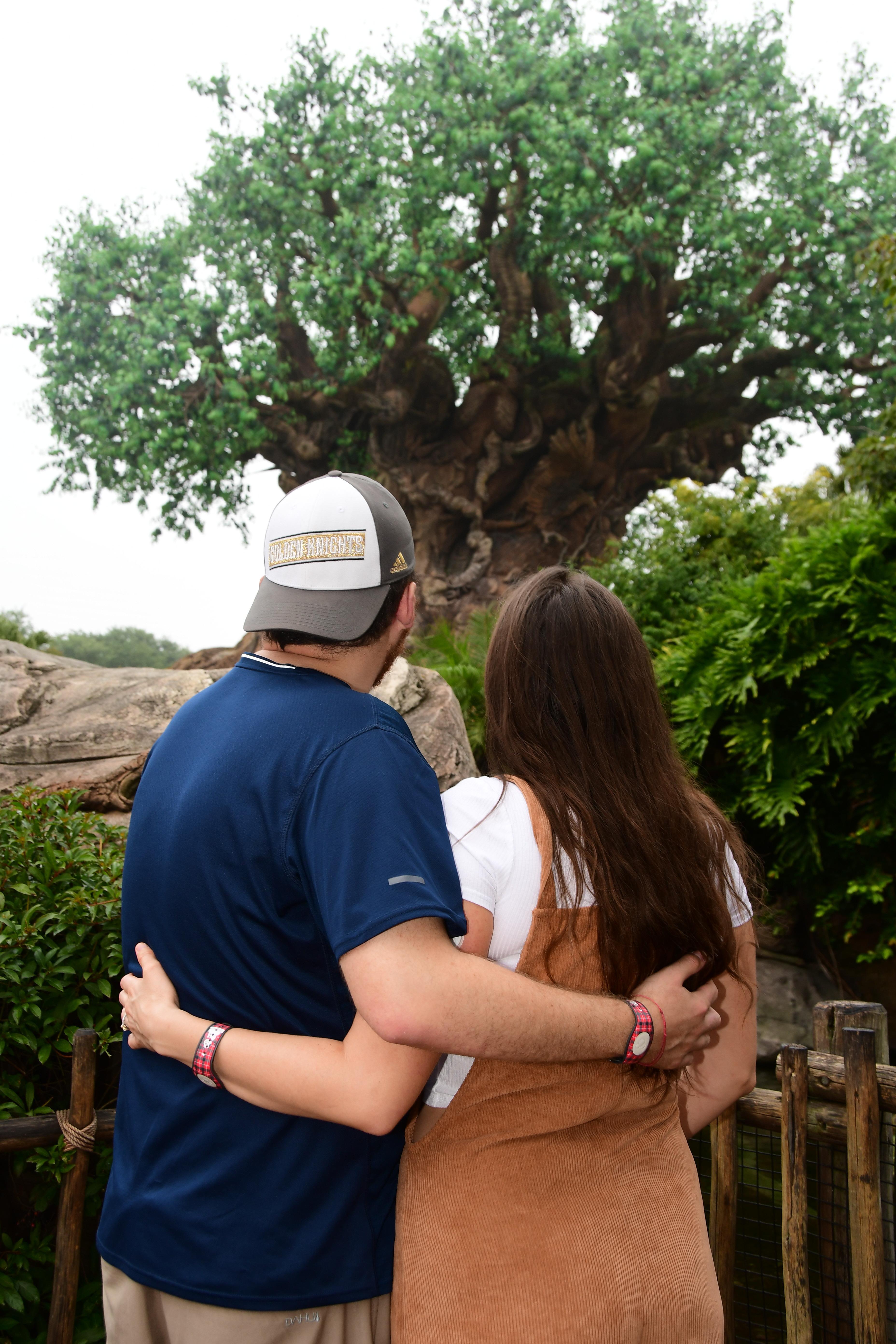 aa20f95c-8714-49c9-b299-e8226b4663b6