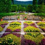 DO - The North Carolina Arboretum