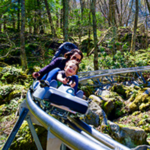 Wilderness Run Alpine Coaster