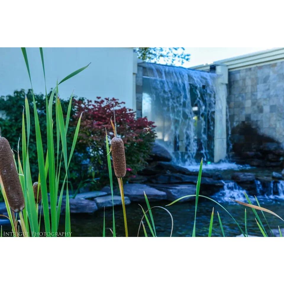 Waterfall Banquet - Outside