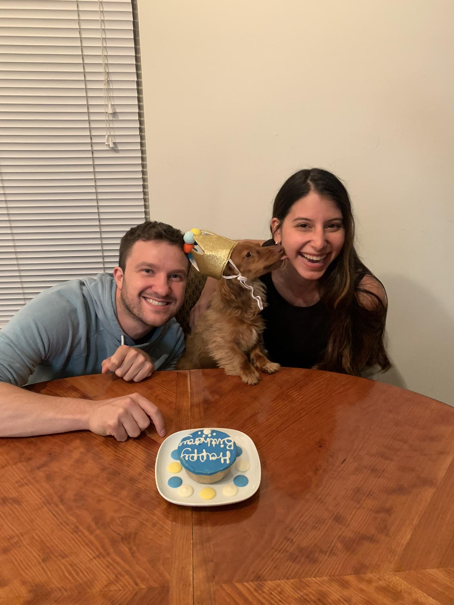 Mylo’s 2nd Birthday 🐾