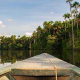 Tambopata