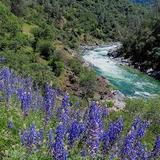 Buttermilk Bend Trail