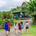 Kona Coffee Farm Tours