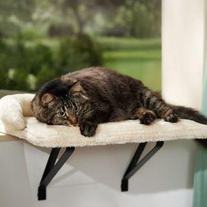 Cat Window Perch