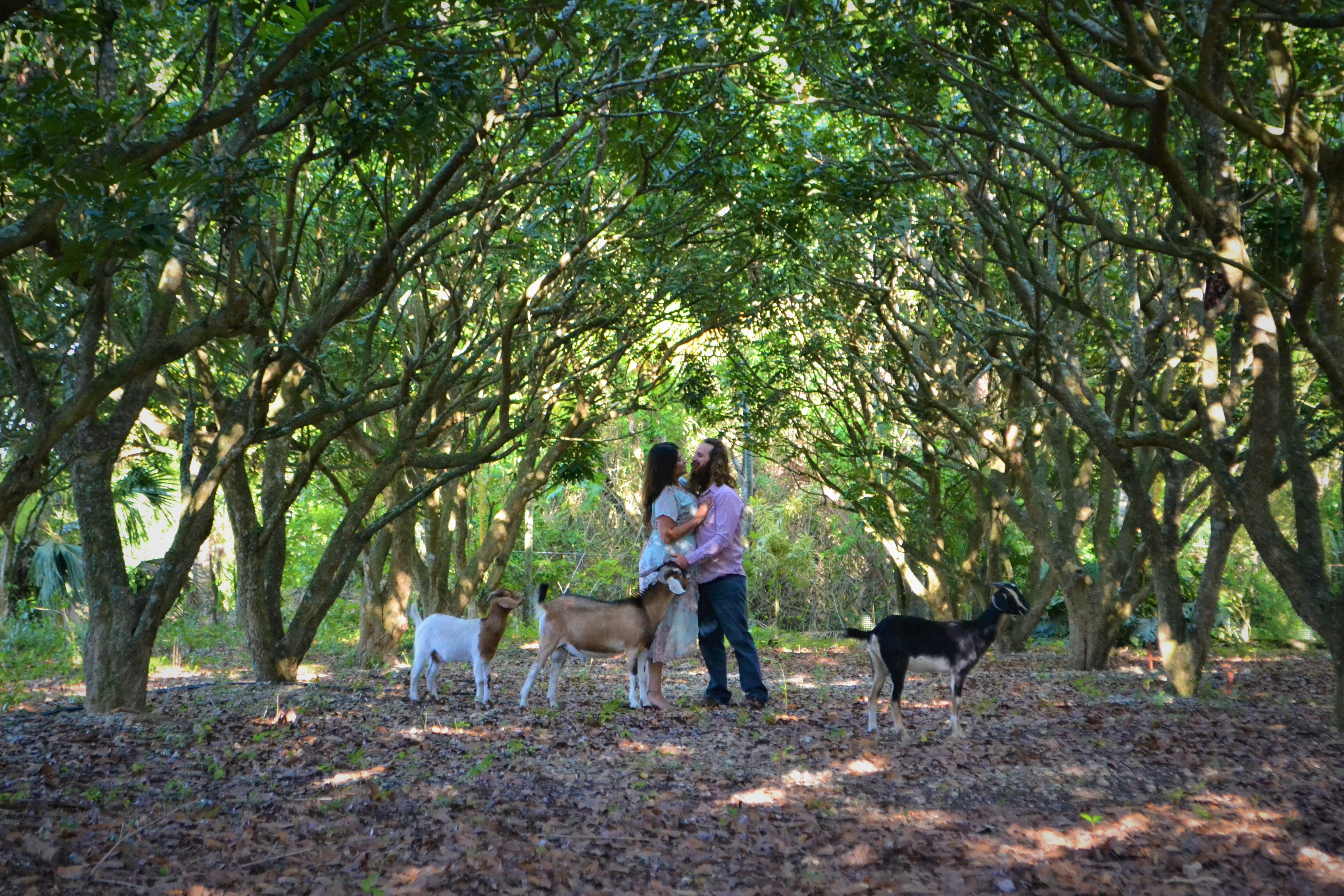 The Wedding Website of Albert Diaz and Blanca Holguin