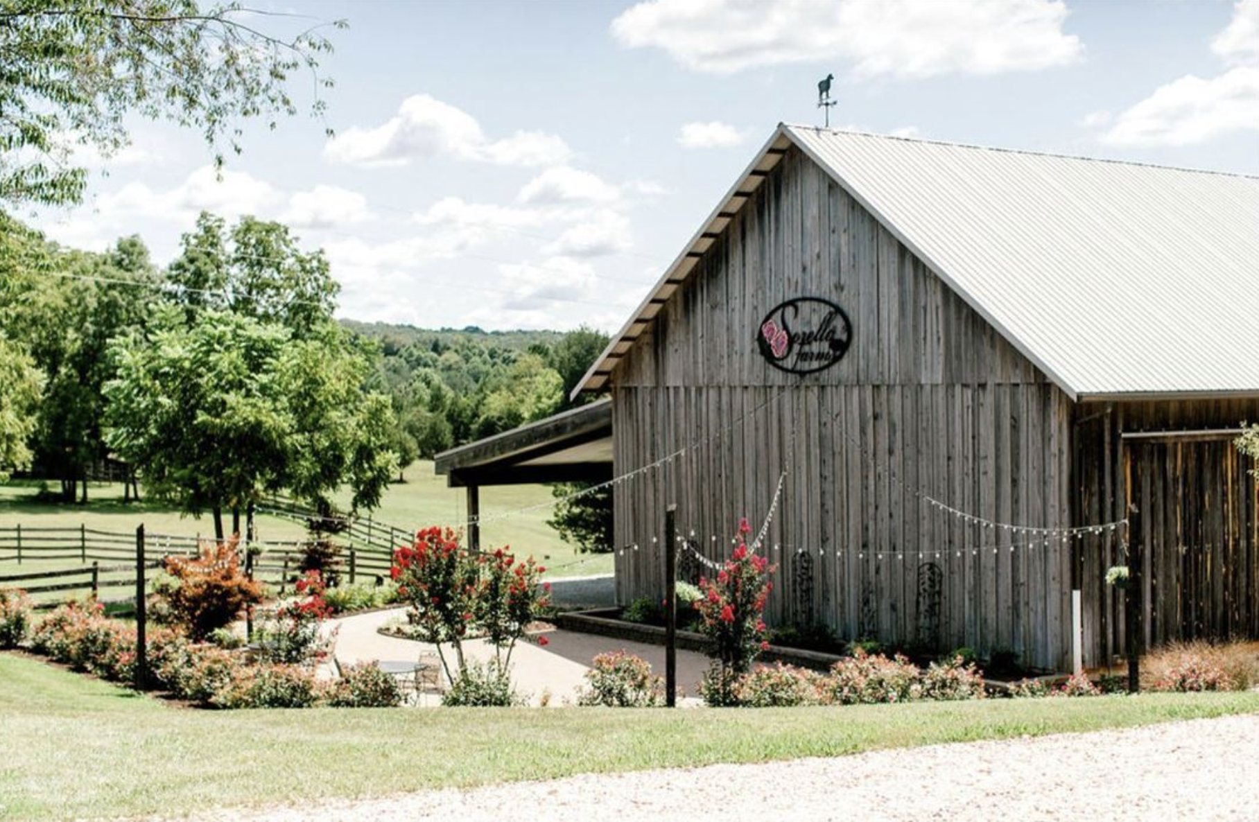The Wedding Website of Calli Neal and Cameron Light