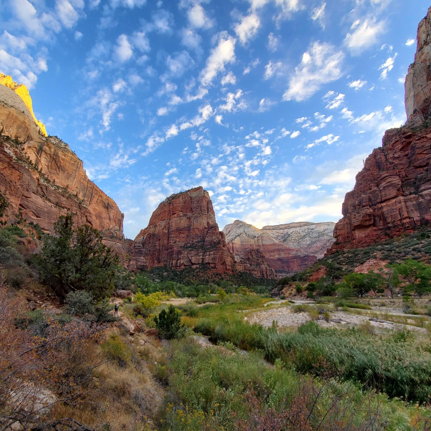 Road Trip 2019 (Zion National Park)